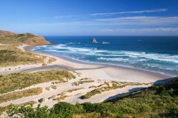 Beach Paradise nell'Isola del Sud, Dunedin, Nuova Zelanda - © CreativeNature R.Zwerver / Shutterstock.com