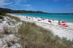 La natura di Spiaggia Saleccia, in una splendida giornata estiva - la posizione di Plage de Saleccia, immersa nella selvaggia natura del Desert des Agriates, e le difficoltà nel raggiungerla, ...