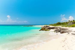 Un tratto di spiaggia selvaggia a Playacar, Messico. Lungo in questo tratto di Riviera Maya si trovano tratti di barriera corallina ideali per snorkeling ed immersioni - © Agnieszka Guzowska ...