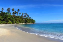 Spiaggia tropicale nei pressi di Honiara, isole Solomone. Cittadina dinamica e coinvolgente, Honiara è immersa in uno scenario equatoriale dagli scorci spettacolari.
