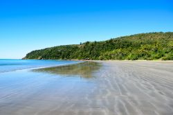 Spiaggia tropicale nel nord del Queensland a Cape Hillsborough, Australia. In questa suggestiva località a meno di 50 chilometri da Mackay le foreste incontrano l'oceano.
