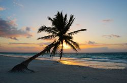 Splendida alba sulla spiaggia di Tulum, Messico. Sabbia bianca, mare dal tipico azzurro caraibico e rovine pittoresche che si affacciano sull'acqua: siamo su una delle più belle spiagge ...