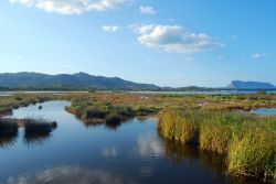 Il trionfo della natura nella laguna di San Teodoro, Sardegna - lo stagno di San Teodoro è un vero e proprio tesoro naturale, grande vanto della Gallura e più in generale della ...