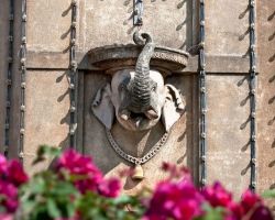 Statua elefante sulla facciata del Maharaja's Palace a Mysore - © Aleksandar Todorovic / shutterstock.com