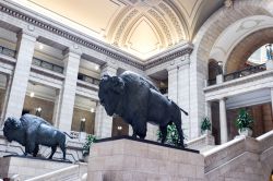Statue di bisonti all'ingresso del palazzo legislativo di Manitoba, Winnipeg (Canada) - © SBshot87 / Shutterstock.com
