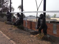 Statue di gorilla lungo una strada della città di Kigali, Ruanda (Africa) - © StreetVJ / Shutterstock.com