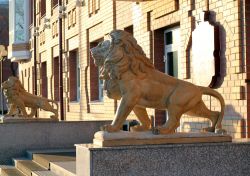 Statue di leoni decorano un elegante edificio della città di Blagoveshchensk, Russia. In russo il nome di questa località significa "luogo dell'annunciazione".
