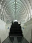 L'interno della futurista stazione Guillemins a Liegi, una delle creature di Santiago Calatrava