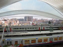Stazione ferroviaria di Liegi realizzata dall'architetto spagnolo  Santiago Calatrava. La sua forma ricorda quella di una gigantesca razza