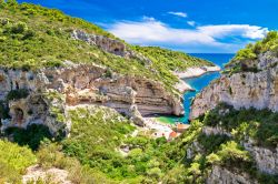 Stiniva Bay, isola di Vis, Croazia: panorama dall'alto di questa splendida e profonda insenatura blu di una bellezza quasi esplosiva.

