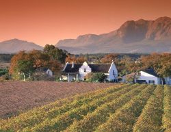 Tour tra i vigneti del Sudafrica - Fonte South African Tourism