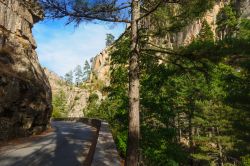 La strada della Restonica: da Corte al cuore della valle, tra ghiacciai e foreste incontaminate - a partire dal borgo di Corte, questa spettacolare strada accompagna il corso del fiume Restonica, ...