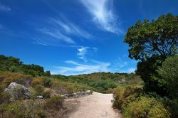 Una calda giornata estiva nel Deserto delle Agriate, Corsica - Situato tra Bastià e l'Isola Rossa, dunque nel nord della Corsica, il Deserto delle Agriate è una vasta area ...