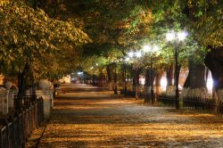 Strada di Blagoveshchensk by night, Russia. Il foliage autunnale rende ancora più suggestiva l'atmosfera che si respira passeggiando per le vie della città.
