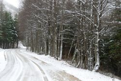 Strada di montagna con la neve in inverno sopra a Predappio, Emilia-Romagna.
