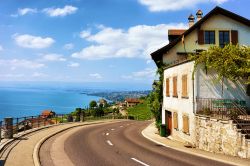 Strada per i vigneti terrazzati di Lavaux, regione del lago di Ginevra (Svizzera).
