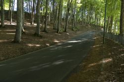 Strada sull'Aspromonte in Calabria, non lontano da San Luca.