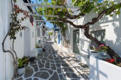 Una tipica stradina nel villaggio di Naoussa a Paros, Grecia. Passeggiare fra le vie ciottolate su cui si affacciano le case tradizionali nel quartiere vecchio di questo villaggio delle Cicladi ...