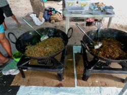 Street food lungo la strada principale di Beau Vallon a Victoria, Seychelles - © Authentic travel / Shutterstock.com