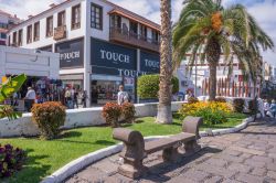 Street view con aiuole e negozi in Paseo de San Telmo, Puerto de la Cruz (Tenerife) - © Salvador Aznar / Shutterstock.com