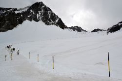 Stubaier Gletscher: è il ghiacciao che domina la Valle dello Stubai, in Tirolo. È raggiungibile con la cabinovia partendo dalla Talstation Mutterberg e risalendo alla Bergstation ...