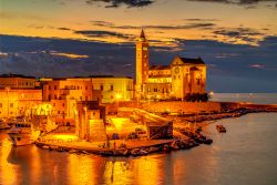 Una suggestiva veduta notturna di Trani e della cattedrale, Puglia, Italia. Grazie alla sua storia millenaria, questa cittadina è ricca di bellezze artistiche e architettoniche.
