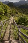 Il suggestivo percorso Tet Paul Nature sull'isola di Saint Lucia (Soufriere), popolare attrazione per gli appassionati di natura e outdoor.
