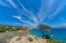 Sull'isola di Kato Koufonisi fra Naxos e Amorgos, Grecia. Disabitato, questo piccolo isolotto con una superficie di 4,3 km quadrati è stato abbandonato alla fine del 1960. La gente ...