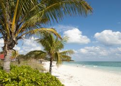Taino beach nella città di Freeport sull'isola di Grand Bahama. Un tratto di litorale di questo porto franco situato sulla costa meridionale dell'isola.
