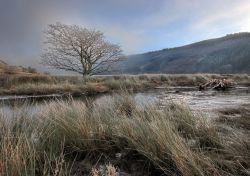 Talybont Reservoir nei pressi di Abergavenny, Galles, UK. E' il più grande serbatoio d'acqua situato nella parte centrale del Brecon Beacons. Si estende per circa 1,30 km quadrati.
 ...