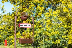 Tanneron in Costa Azzurra si trova sulla Strada della Mimosa in Francia.