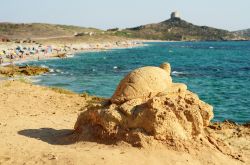 Una tartaruga di pietra sulla spiaggia di San ...