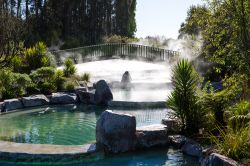 Fumarole al lago vulcanico Taupo, Nuova Zelanda. Si tratta di fenomeni di vulcanismo secondario con emanazione di vapore e altri gas vulcanici - © 246177412 / Shutterstock.com