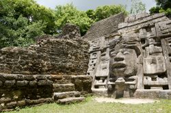 Tempio Maya nel sito archeologico di Lamanai, Belize. Il nome del sito ha origini precolombiane, registrato dai missionari spagnoli nel XVI° secolo. Nonostante una prima descrizione dettagliata ...