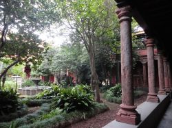 Tenerife (Canarie): il patio dell'ex-convento de San Agustìn, un tripudio di alberi e piante tropicali.