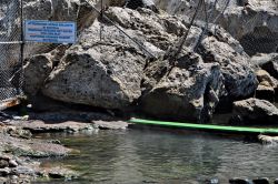 Terme naturali ad Ischia: l'isola è ricca di fonti termali. La baia di Sorgeto, in particolare, è caratterizzata da acqua bollente.