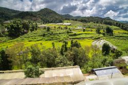 Terrazzamenti di riso a Mae Sariang nel nord della Thailandia.




