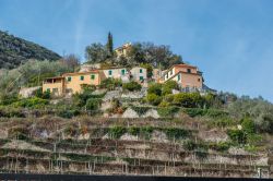 Terrazzamenti e case nella valle di Finalborgo in Liguria