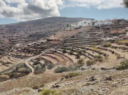 Terrazze a gradini sull'isola di Sikinos, Grecia. Un tempo coltivati in modo molto massiccio rispetto ad oggi, questi terreni rimangono comunque fertili.

