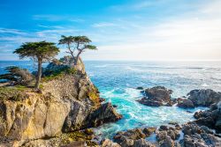 The Lone Cypress, fotografato dalla 17 Mile Drive, presso Pebble Beach, in California.