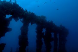 The Rhone: il sito di immersioni più famoso di Cooper Island, dove ammirare il relitto della postale inglese RMS Rhone - © bcampbell65 / shutterstock.com
