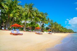 Tipica spiaggia dell'isola di Koh Samui, in Thailandia - © Anton Gvozdikov / Shutterstock.com