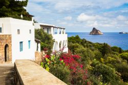 Tipico panorama di Panarea, Sicilia - Le tradizionali case di quest'isola siciliana sono circondate da una vegetazione di macchia mediterranea con fichi d'India, ginestre, capperi e ...