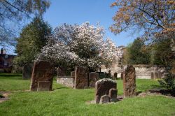 Tombe nella St.Mary's Cathedral di Warwick, Inghilterra - Alcune tombe ospitate nel cimitero della chiesa collegiata di Santa Maria a Warwick © Gail Johnson / Shutterstock.com