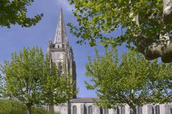 La torre campanaria della chiesa di San Pietro a Marennes, Francia. Fotografato dietro a foglie e rami di alberi, questo edificio religioso è uno dei più importanti del comune ...