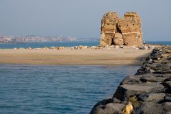 Torre Flavia sulla spiaggia di Marina di Cerveteri, ...