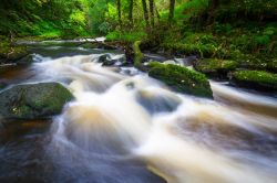 Torrente irlandese di Clare Glens a Limerick, Irlanda.

