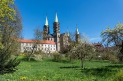 Torri della cattedrale viste da un area verde di Bamberga, Germania.