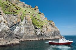 Tour in barca sulle coste delle isole Skellig in Irlanda. Sono luoghi ideali per il birdwatching