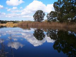 Tra i laghi più belli della Puglia vanno inseriti i Laghi Alimini, nel Salento Di Idrusa di Wikipedia in italiano - Trasferito da it.wikipedia su Commons., Pubblico dominio, Collegamento ...